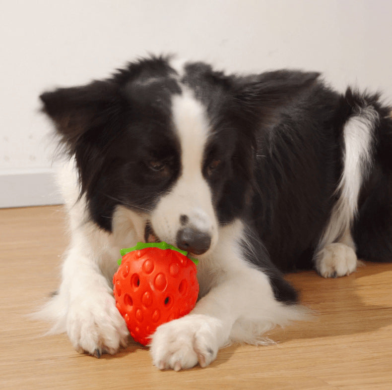 StrawBite Rubber Chew Toy — Dental Fun for Happy Dogs