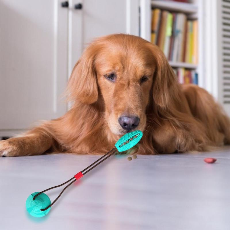 SuctionBite Molar Toy — Chew, Grind & Play Hands-Free