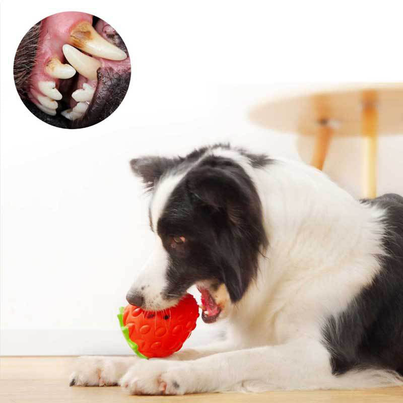 StrawBite Rubber Chew Toy — Dental Fun for Happy Dogs