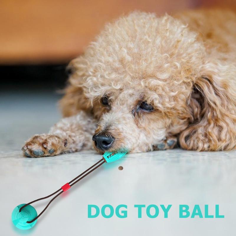 SuctionBite Molar Toy — Chew, Grind & Play Hands-Free