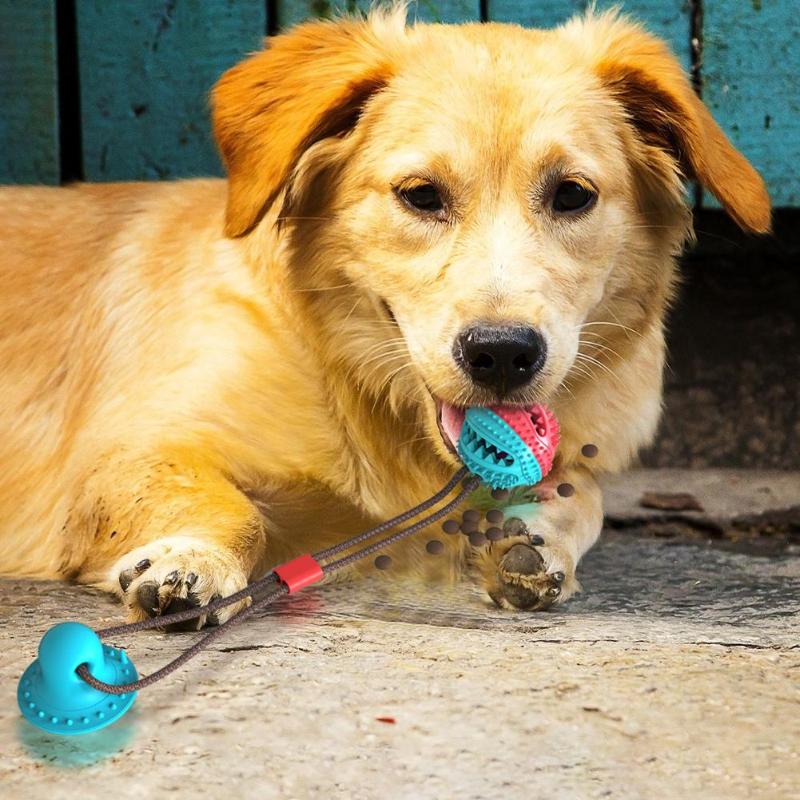 SuctionBite Molar Toy — Chew, Grind & Play Hands-Free