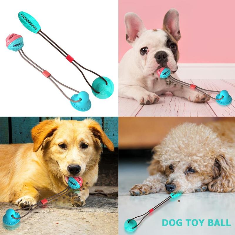 SuctionBite Molar Toy — Chew, Grind & Play Hands-Free