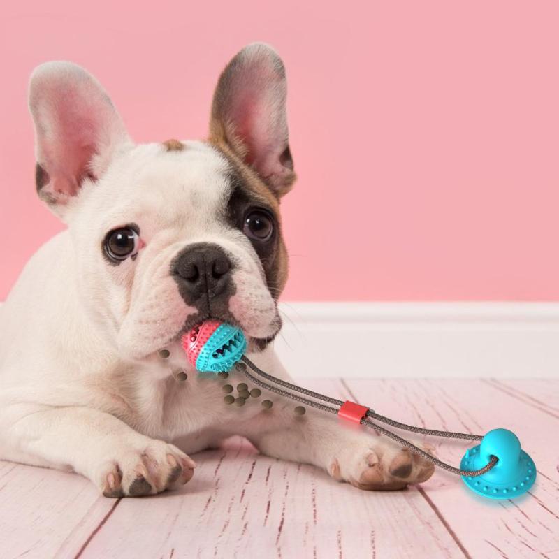 SuctionBite Molar Toy — Chew, Grind & Play Hands-Free
