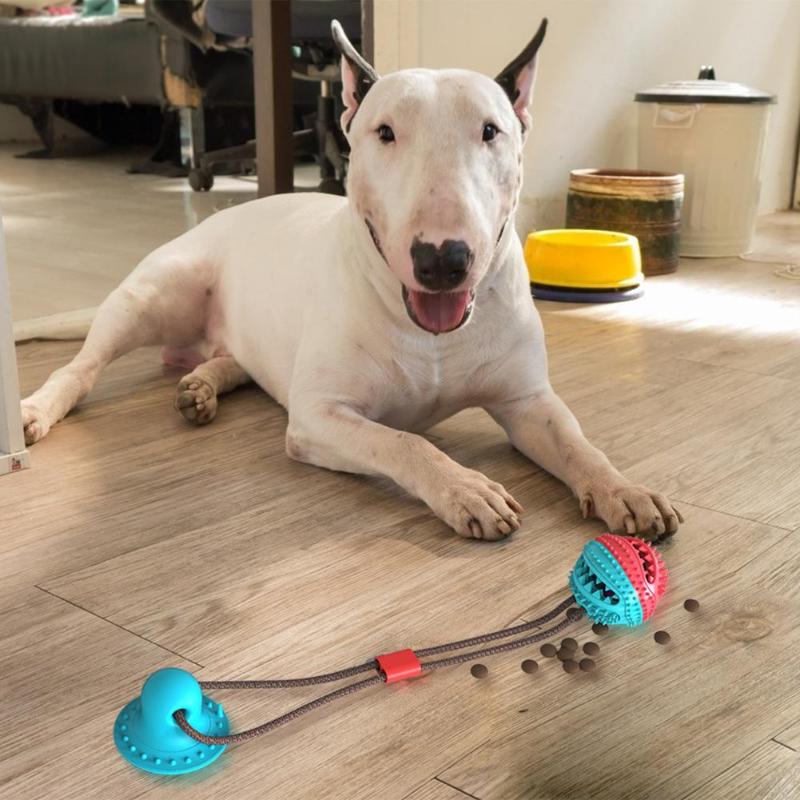 SuctionBite Molar Toy — Chew, Grind & Play Hands-Free