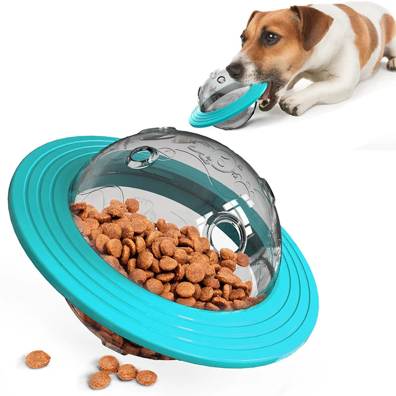 SlowSpin Feeder Disc — The Fun Way to Slow Your Dog's Meals