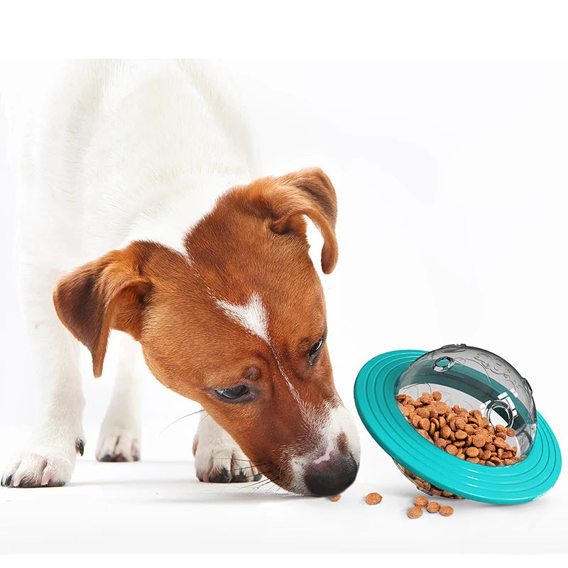 SlowSpin Feeder Disc — The Fun Way to Slow Your Dog's Meals