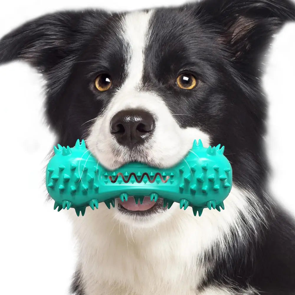 DentaBell Squeaky Chew Toy — Fun for Every Chewer