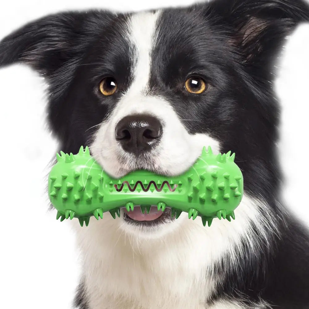 DentaBell Squeaky Chew Toy — Fun for Every Chewer