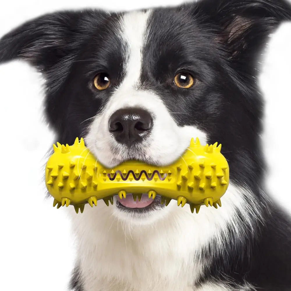 DentaBell Squeaky Chew Toy — Fun for Every Chewer