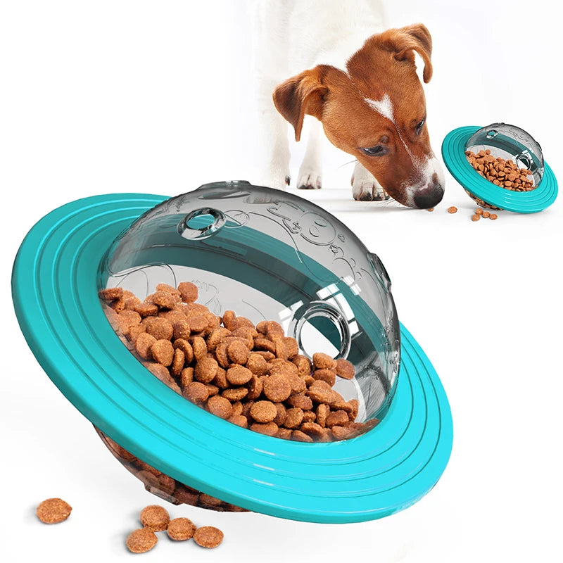 SlowSpin Feeder Disc — The Fun Way to Slow Your Dog's Meals